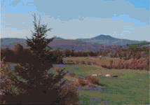 Alt-view